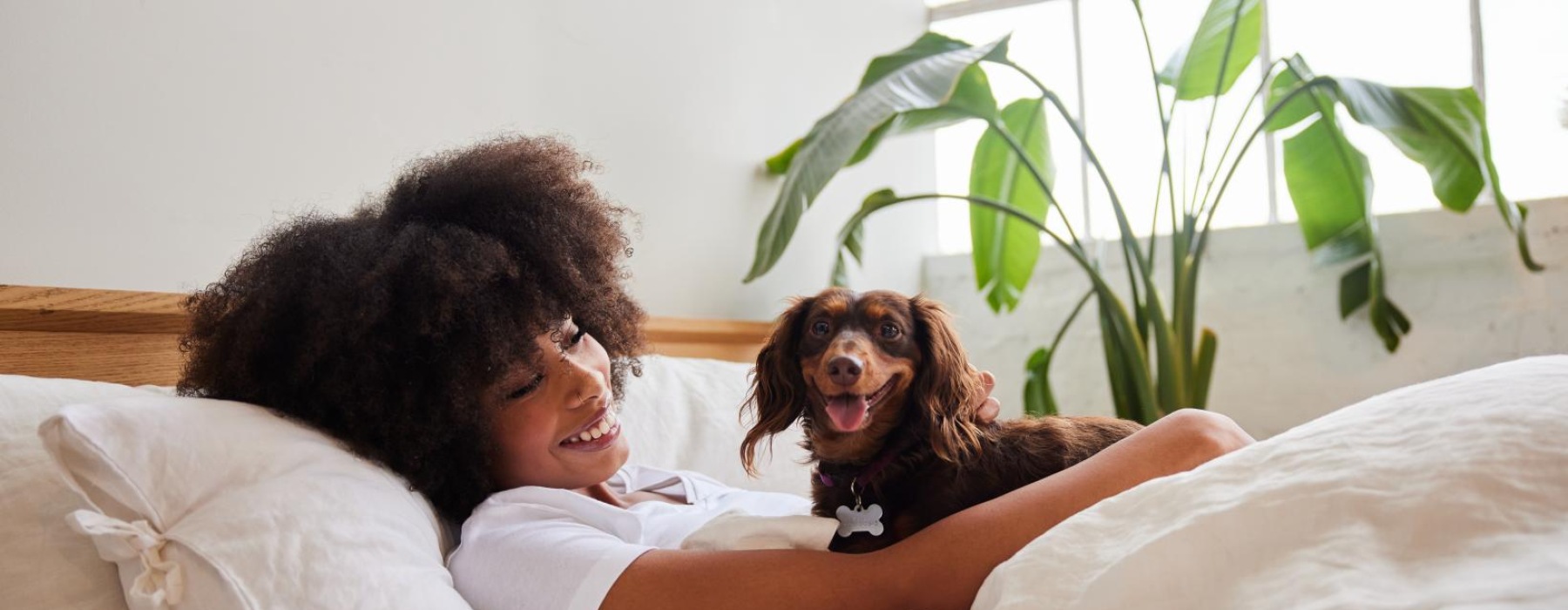 a person lying in bed with a dog